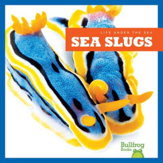 Carte Sea Slugs Mari C. Schuh