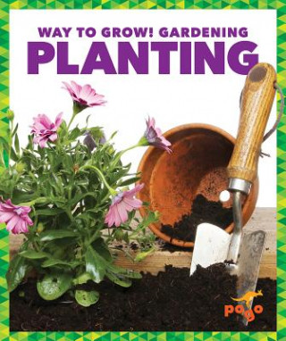 Könyv Planting Rebecca Pettiford