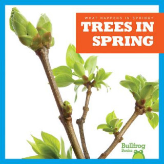 Buch Trees in Spring Jennifer Fretland VanVoorst