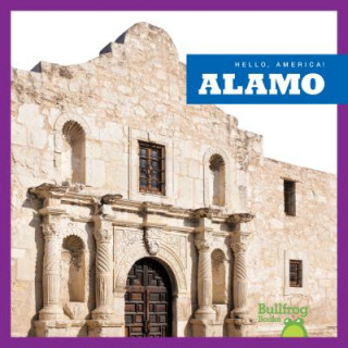 Kniha Alamo Rebecca Pettiford