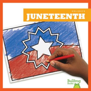Boek Juneteenth Rebecca Pettiford