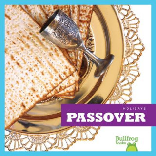 Könyv Passover R. J. Bailey