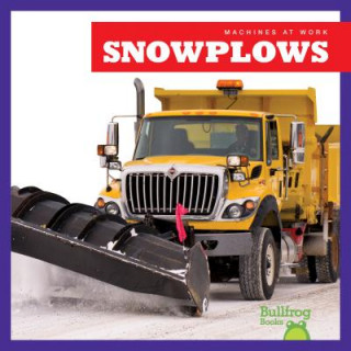 Könyv Snowplows Cari Meister