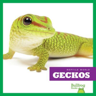 Книга Geckos Vanessa Black