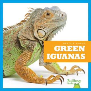 Carte Green Iguanas Vanessa Black