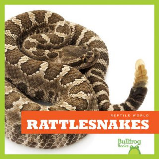 Book Rattlesnakes Vanessa Black