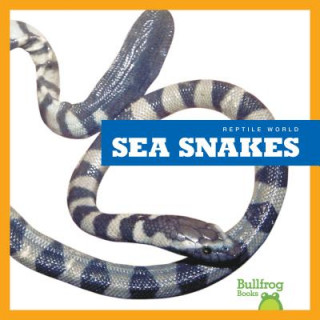 Kniha Sea Snakes Vanessa Black
