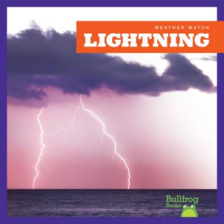 Kniha Lightning Jennifer Fretland VanVoorst