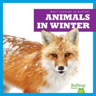 Buch Animals in Winter Jennifer Fretland VanVoorst