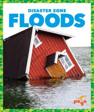 Kniha Floods Vanessa Black