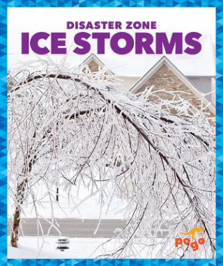 Kniha Ice Storms Vanessa Black