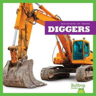Boek Diggers Cari Meister