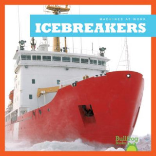 Kniha Icebreakers Cari Meister