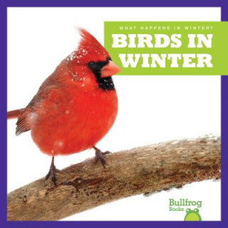Carte Birds in Winter Jennifer Fretland VanVoorst