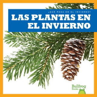 Kniha Las Plantas En El Invierno Jennifer Fretland VanVoorst
