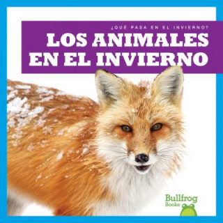 Kniha Los Animales En El Invierno / Animals in Winter Jennifer Fretland VanVoorst