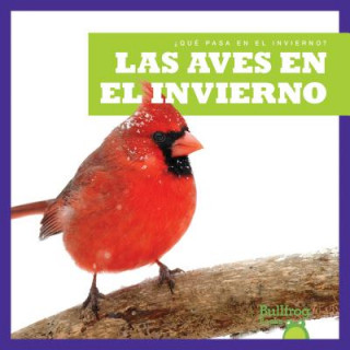 Könyv Las Aves En El Invierno / Birds in Winter Jennifer Fretland VanVoorst