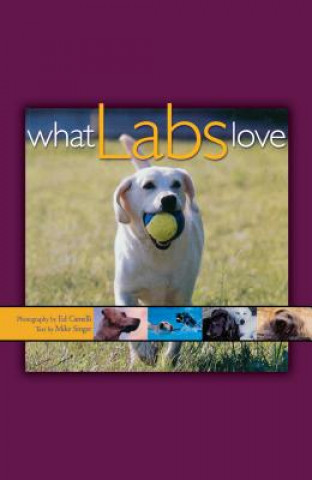 Kniha What Labs Love Ed Camelli