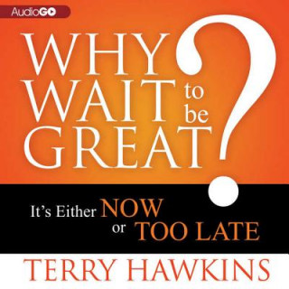 Audio Why Wait to Be Great?: It S Either Now or Too Late Terry Hawkins