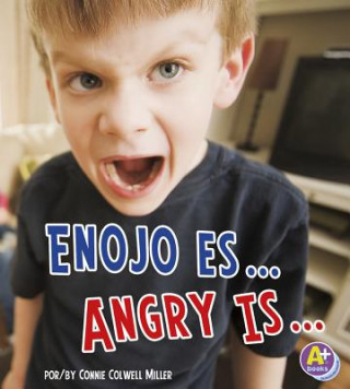 Book Enojo Es.../Angry Is... Connie Colwell Miller