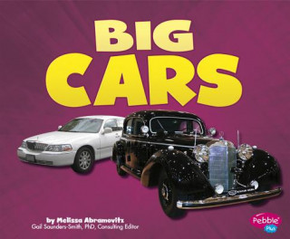 Könyv Big Cars Melissa Abramovitz
