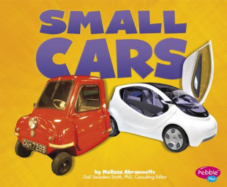 Carte Small Cars Barbara Alpert