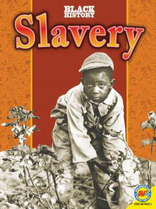 Book Slavery James De Medeiros