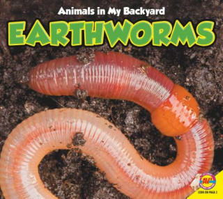 Kniha Earthworms Aaron Carr