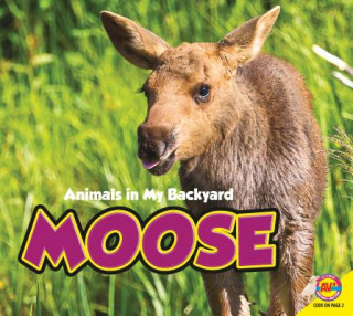 Knjiga Moose Aaron Carr