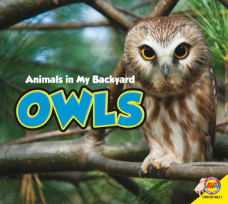 Knjiga Owls Aaron Carr