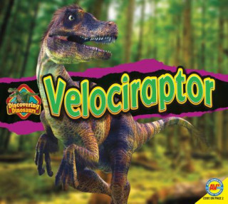 Książka Velociraptor Aaron Carr