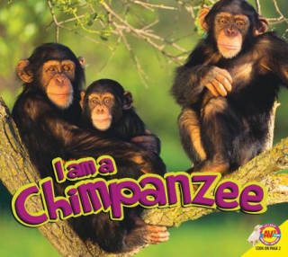 Kniha Chimpanzee Aaron Carr