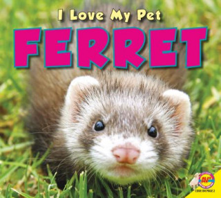 Könyv Ferret Aaron Carr