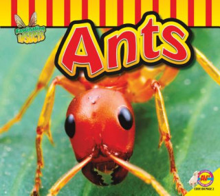 Libro Ants Aaron Carr