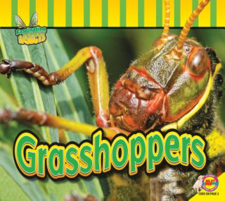 Kniha Grasshoppers Aaron Carr