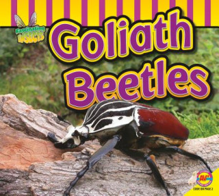 Kniha Goliath Beetle Aaron Carr