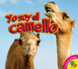 Kniha Yo Soy El Camello Karen Durrie