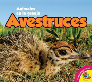 Knjiga Avestruces = Ostriches Anita Yasuda