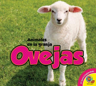 Książka Ovejas = Sheep Megan Kopp