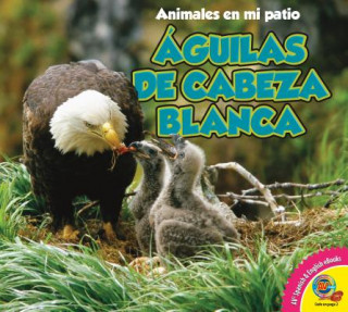 Carte Aguilas de Cabeza Blanca = Bald Eagle Pamela McDowell