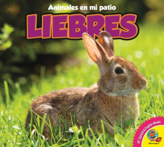 Kniha Liebres = Rabbits Pamela McDowell