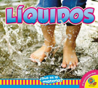Kniha Liquidos = Liquids Cindy Rodriguez