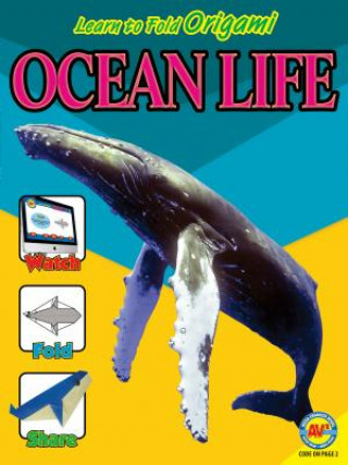 Buch Ocean Life Katie Gillespie
