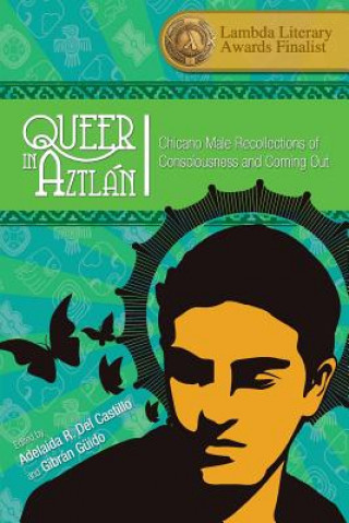 Kniha Queer in Aztlan Adelaida R. Del Castillo