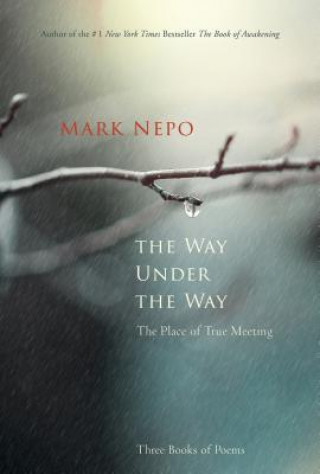 Kniha Way Under the Way Mark Nepo