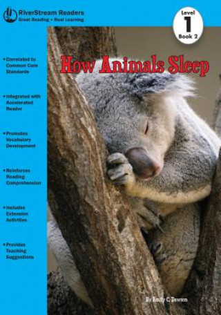 Kniha How Animals Sleep Emily C. Dawson