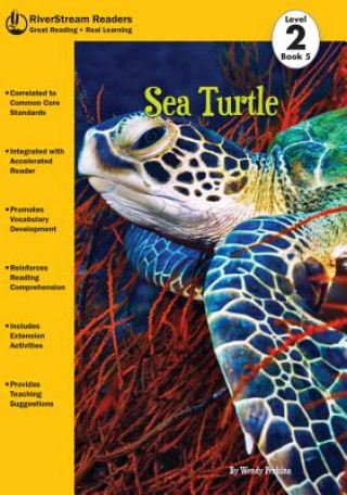 Kniha Sea Turtle Wendy Perkins