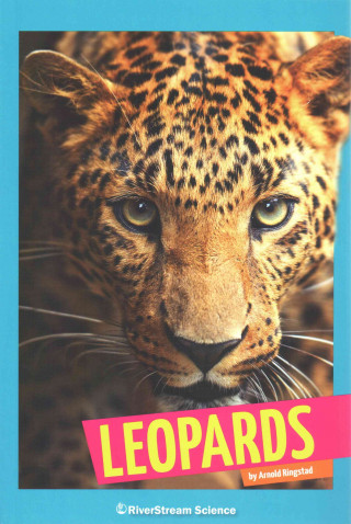 Kniha Leopards Arnold Ringstad