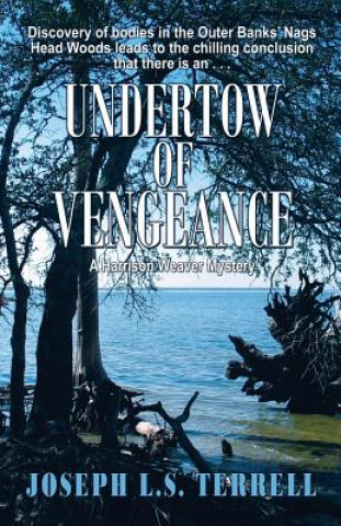 Kniha Undertow of Vengeance Joseph L. S. Terrell