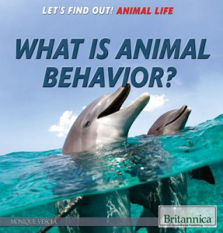 Buch What Is Animal Behavior? Monique Vescia